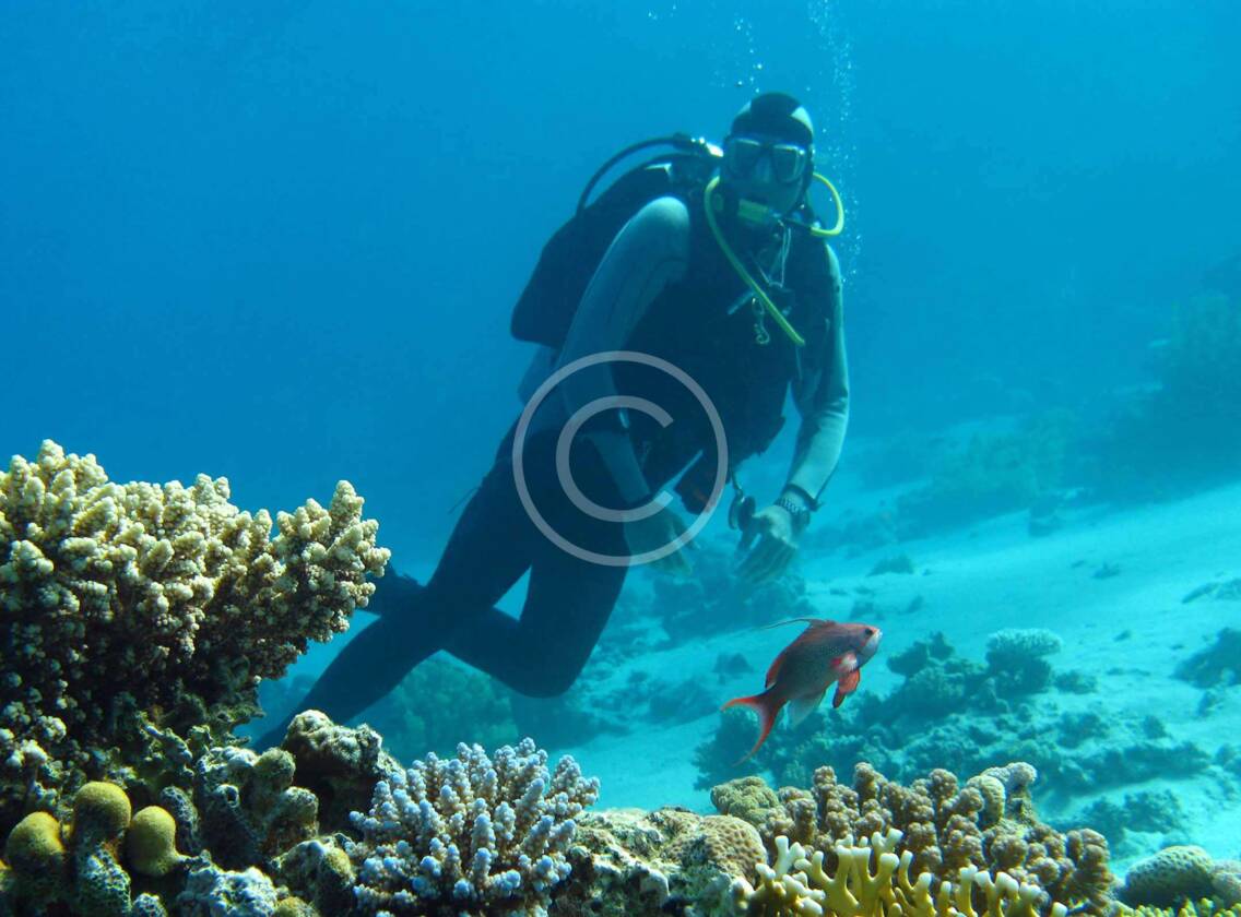 Underwater Family Photoshoot