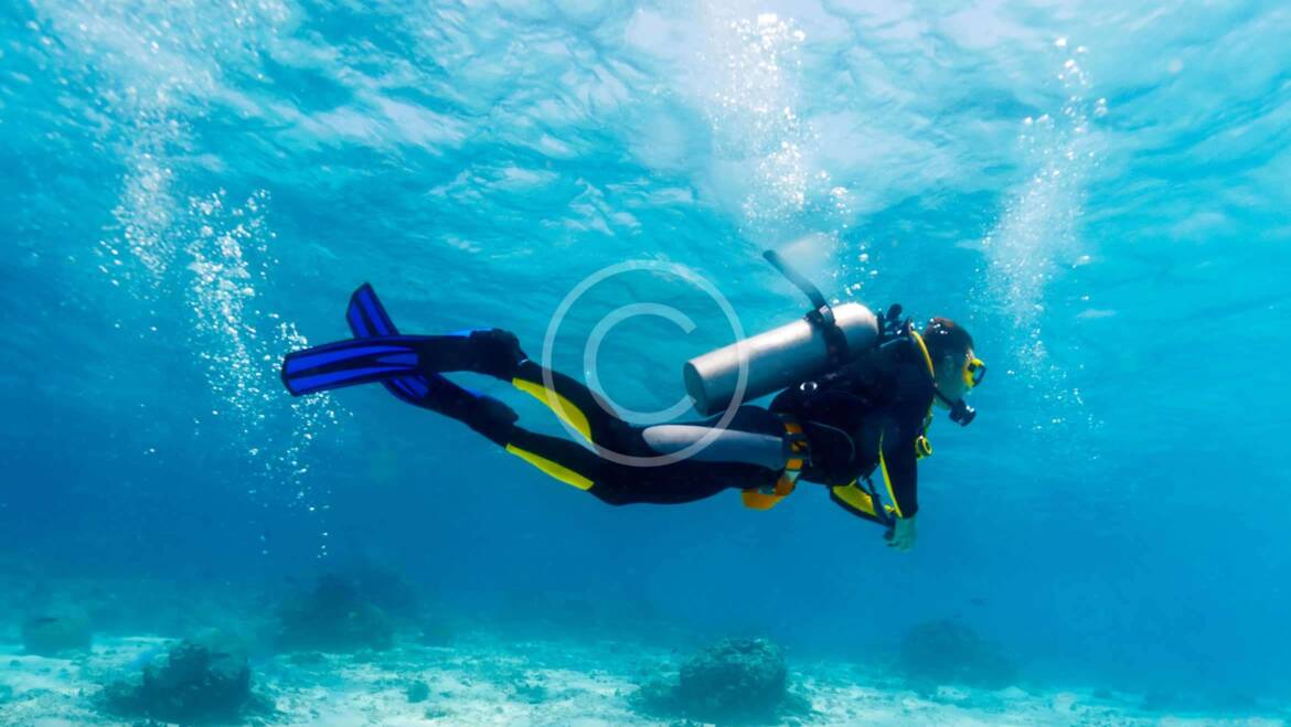 Divers‘ Heaven: Hawaiian Experience
