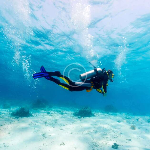 Divers‘ Heaven: Hawaiian Experience